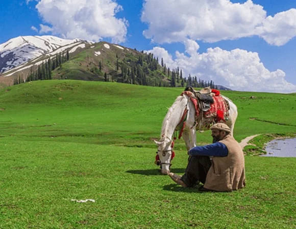 Explore the Beauty of Naran,  Nature’s Escape