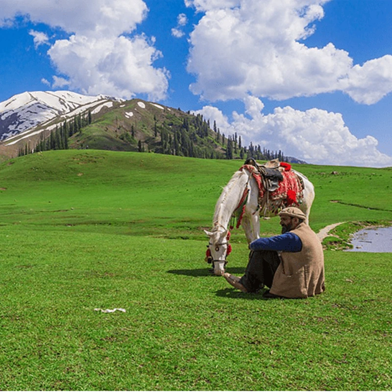 Explore the Beauty of Naran,  Nature’s Escape
