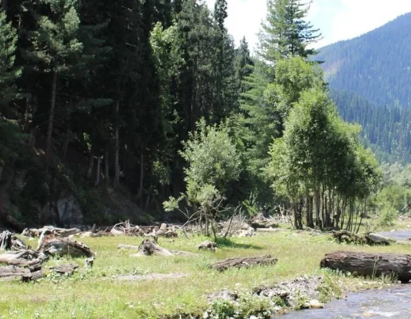 Explore the Beauty of Neelum Valley