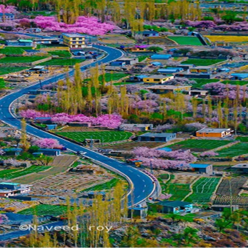 Explore the Beauty of Hunza, Wild Beauty