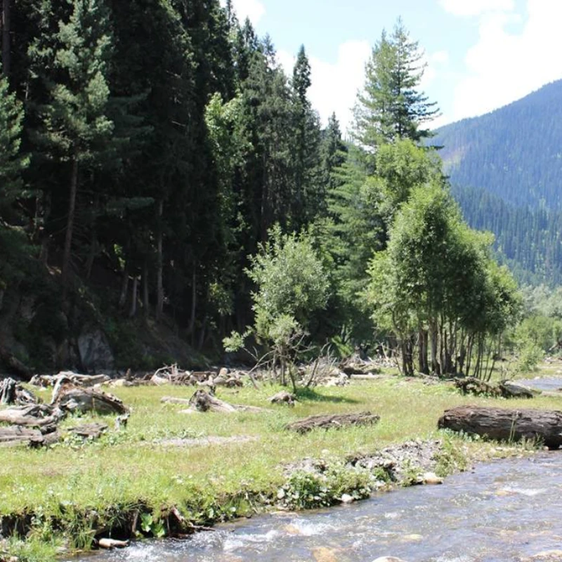 Explore the Beauty of Neelum Valley