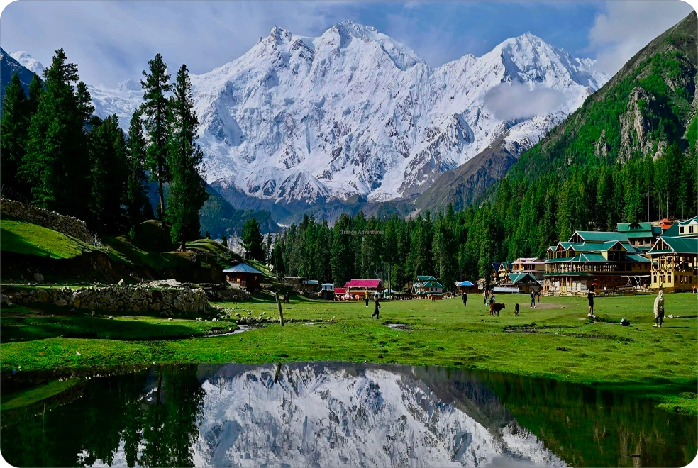 Fairy Meadows